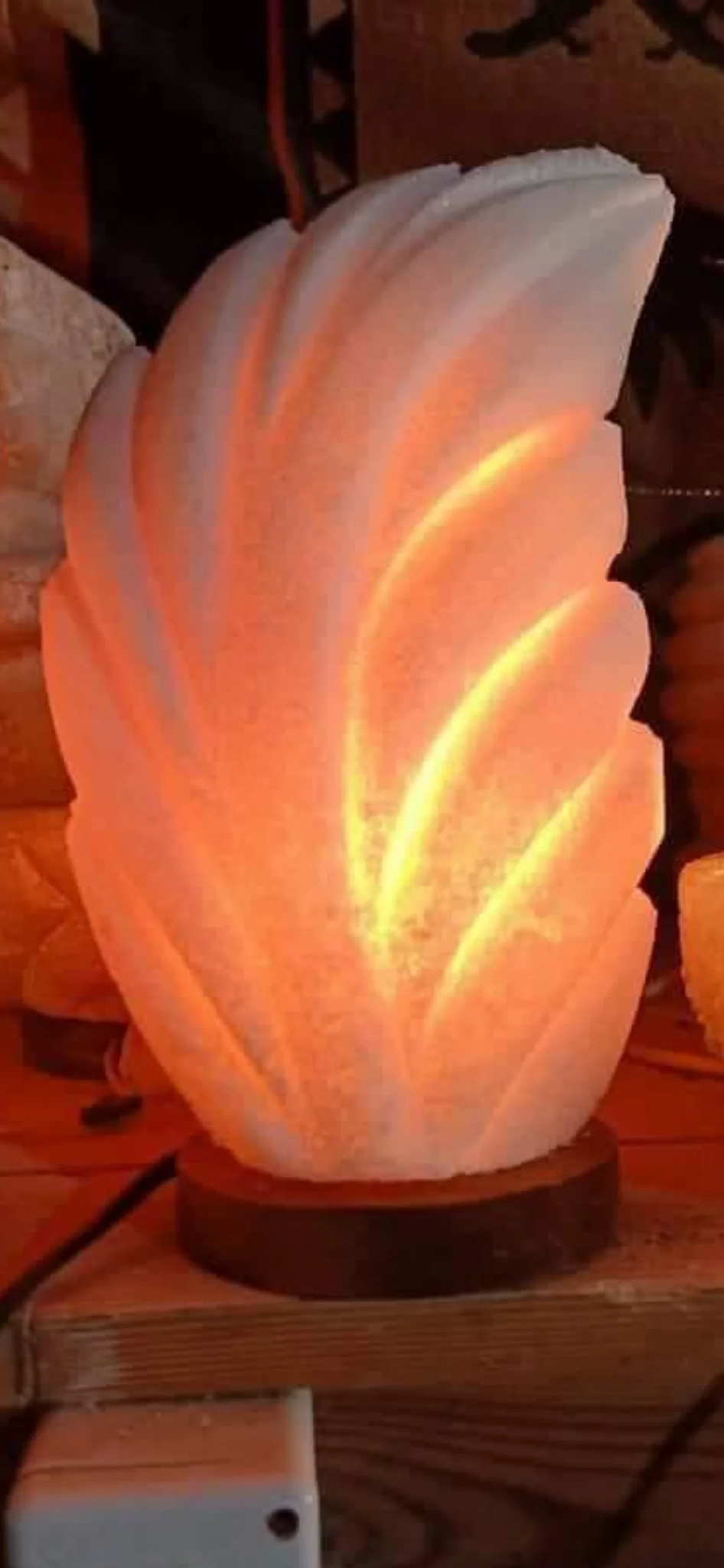 Beautiful Healing Natural Pure Salt Handmade Lamp - Leaf